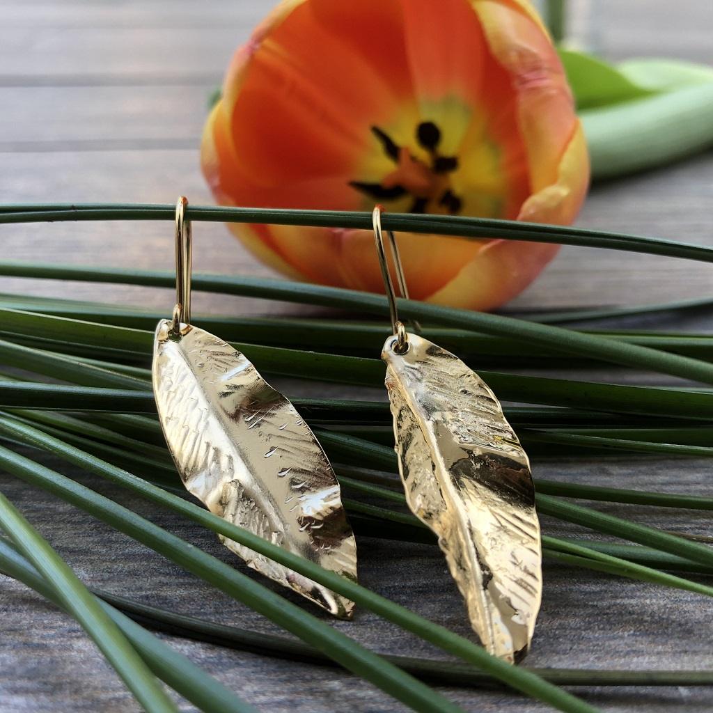 Cuidados de la Chapa de Oro