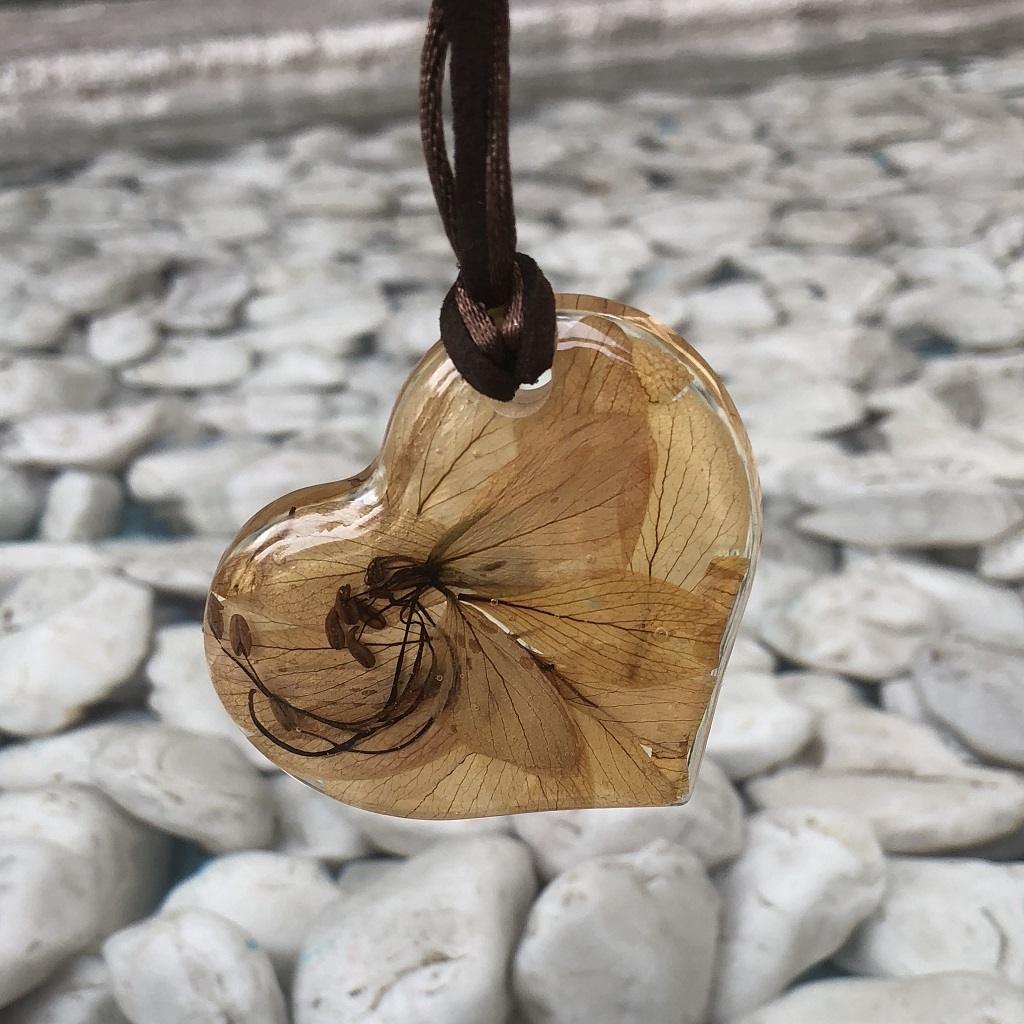 Cuidados de lasFlores y Semillas Encapsuladas